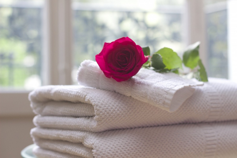 chambre-hote-ST VALLIER DE THIEY-min_towel_rose_clean_care_salon_spa_white_bath-731641